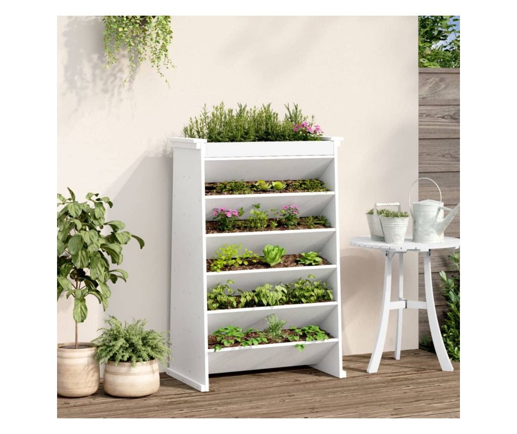6 szintes fehér tömör fenyőfa gyógynövényültető 69x40x101,5 cm - 3