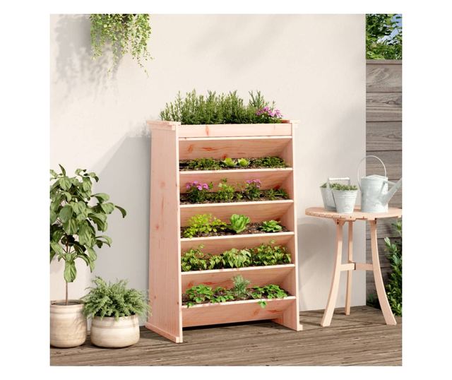 6 szintes tömör duglászfenyő gyógynövényültető 69x40x101,5 cm