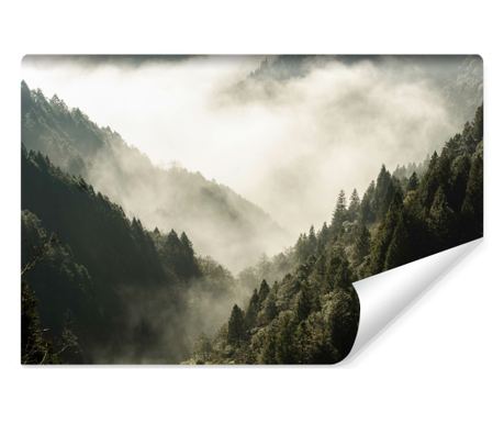 Fototapet Muralo Peisaj de munte, padure incetosata 300 cm x 210 cm decor natural pentru sufrageria  300x210