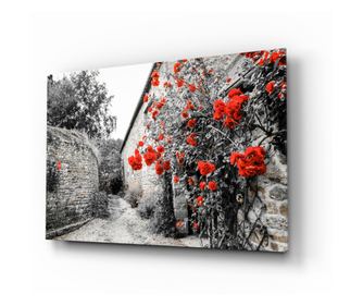 Slikanje na osiguranom staklu, Red Rose  72 x 46 cm