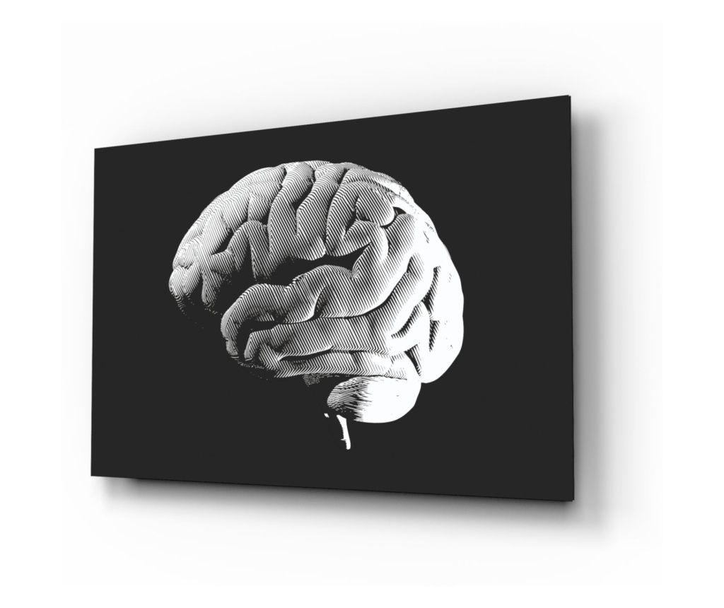  Festés rögzített üvegre, Brain 72 x 46 cm