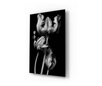 Malba na zabezpečené sklo, Black and White Flowers  72 x 46 cm