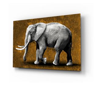 Malba na zabezpečené sklo, Elephant  72 x 46 cm