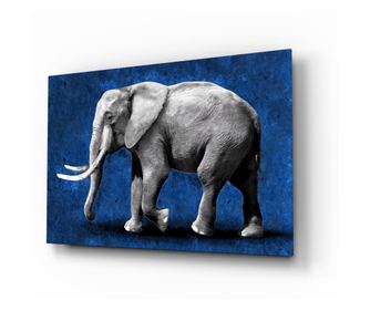 Malba na zabezpečené sklo, Elephant  72 x 46 cm