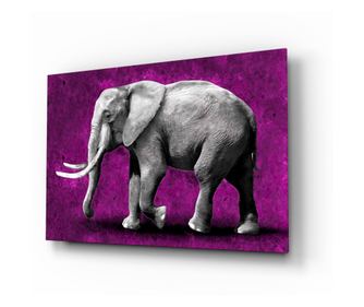Malba na zabezpečené sklo, Elephant  72 x 46 cm