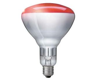 Philips 923212043801 infracrvena žarulja 250 W Žarulje