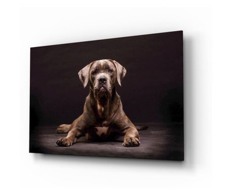 Tablou din sticlă securizată Dog 72 x 46 cm