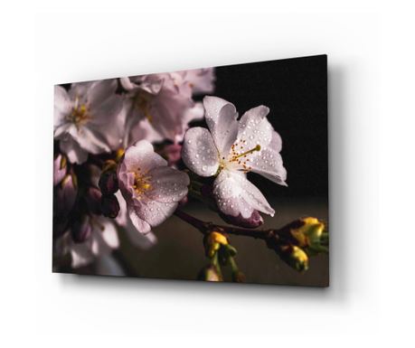 Poslikava na zaščiteno steklo, Macro Flower  72 x 46 cm