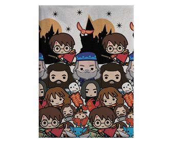 Harry Potter polár takaró csapat 100x140cm