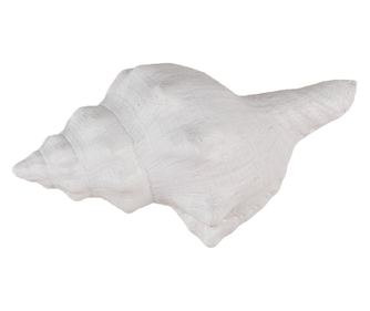 Set od 4 bijele ručke za namještaj od polirezina Školjka 10x5x6 cm