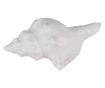Set od 4 bijele ručke za namještaj od polirezina Školjka 10x5x6 cm