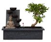 Bonsai Vodopad Buda - Bonsai - Visina 25-35cm - ⌀29cm