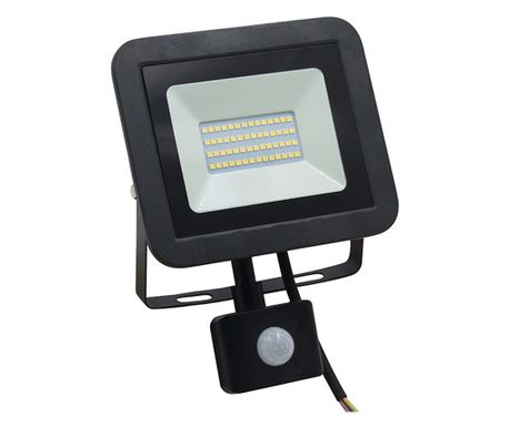 LED projektor 10W, 800 lm, bela svetloba, aluminij, IP65, kot zaznavanja 120 stopinj, napetost 220-240V