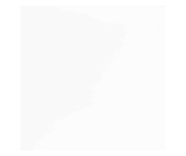 Jedilni stoli z blazinami, 2 kosa, masiven les kavčukovca, bela