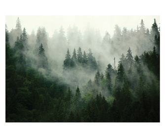 Fototapeta Šuma Priroda 400x280 cm, Moderni Vlies Tapet, Za Spavaću Sobu Dnevni Boravak