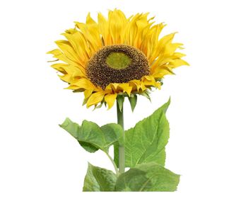 Floarea-soarelui artificiala, la fir, inaltime 140 cm