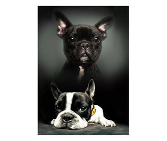 Kutyás polár takaró bulldog 100x140cm