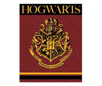 Harry Potter polár takaró crest 120x150cm