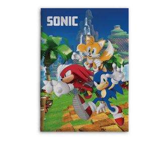 Sonic a sündisznó polár takaró team 100x140cm