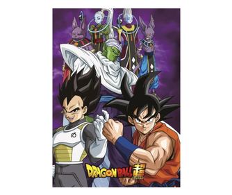 Dragon Ball polár takaró team 100x140cm