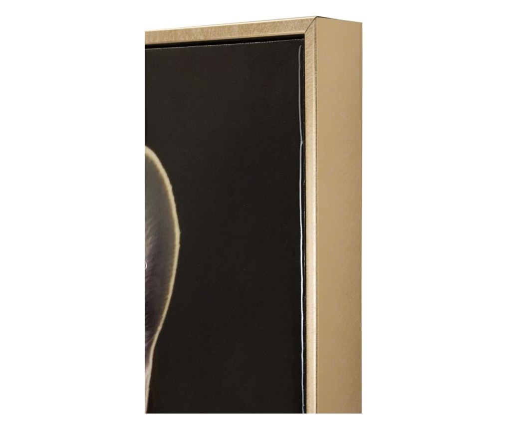 Zidna umjetnost Bully Black 62 cm - 6