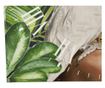 Sat Kloe Zeleni 60 cm thumbnail 4