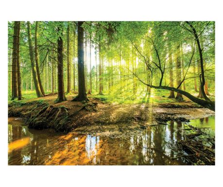 Fototapeta Šuma 350x250 cm Moderni Vlies Tapeta Spavaća Soba Dnevni Boravak