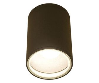 Nowodvorski Fog Stropna Svetilka 1x60W (3403)