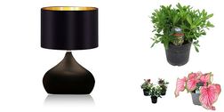 Decoratiuni