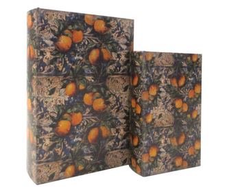 Cutie de cărți ORIGEN Decor Home 2U Lămâi - Decorațiune vintage pentru casă - Set de 2 unități