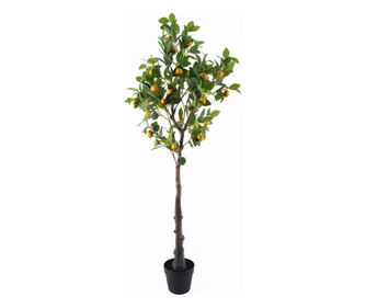 ORIGEN Декор за дома Xgra Изкуствено лимоново дърво 160 см - Натуралистична декорация за дома, офиса и събития - Реалистично зел