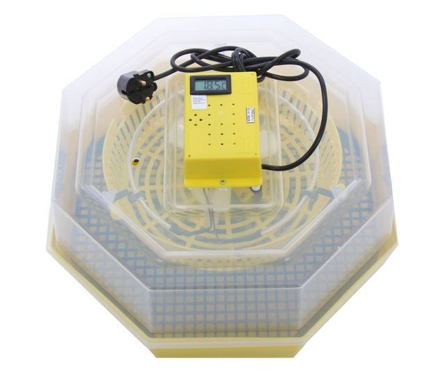 Ηλεκτρική θερμοκοιτίδα αυγών με θερμόμετρο, Cleo, μοντέλο 5T