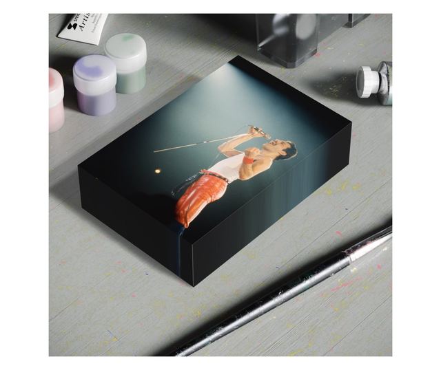 Tablou Canvas Premium LuxCanva® C1076, Freddie Mercury , Cantaret, Legenda, Freddie, Living Room, Office, Relaxare, Culori Vibra