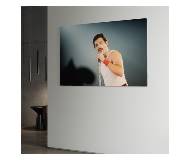 Tablou Canvas Premium LuxCanva® C1102, The King Freddie ,  Culori, Fluture, Living Room, Bar, Relaxare, Culori Vibrante - 65 X 1