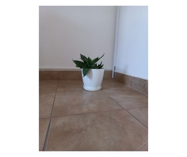 Okrągła doniczka dekoracyjna Orkide, biała, do użytku wewnątrz i na zewnątrz, 14 x 12 cm