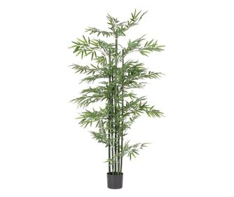 Műanyag bambusz cserépben 90x190 cm
