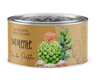 Kit Premium Micro Terariu cu semințe de Plante Suculente | Uplift Elements