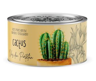 Kit Premium Micro Terariu cu seminte de Cactusi Mix Uplift Elements