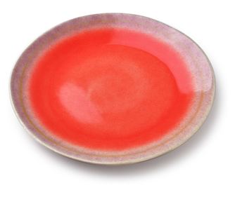 Osnovna narava krožnik 22,5xh2,5cm