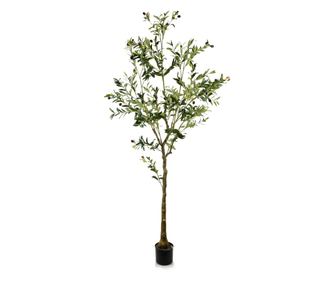 Maslina umjetni cvijet visina: 180 cm