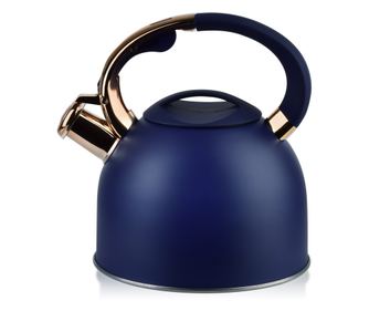 Чайник STEN GOLD 2,5L
