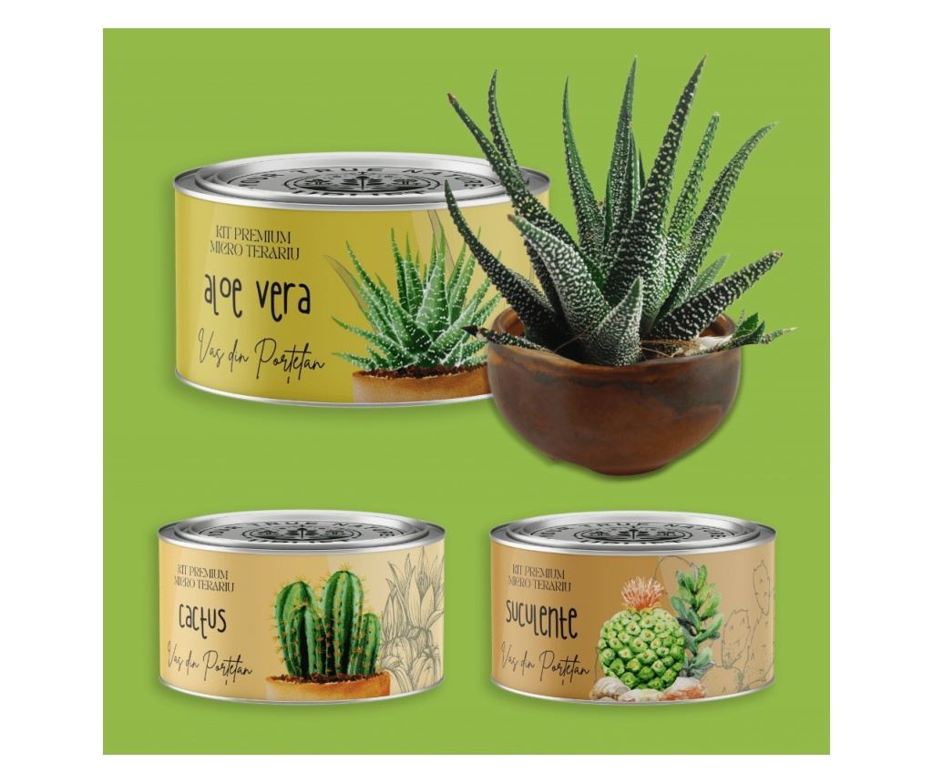 aluna aloe vera green tea Pure Aloe Vera Gel + Tea Tree Oil main image 0