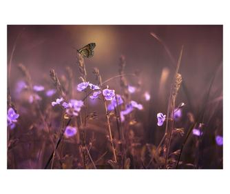 Tablou decorativ, de perete, cu rama din lemn, 33cm x 24cm, cu flori3494