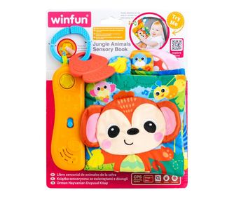 ΒΙΒΛΙΟ ΑΙΣΘΗΤΗΡΙΑΚΗΣ ΑΝΤΙΛΗΨΗΣ WINFUN