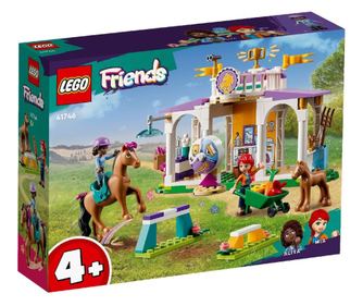 ΦΙΛΟΙ LEGO ΕΚΠΑΙΔΕΥΣΗ ΑΛΟΓΩΝ 41746