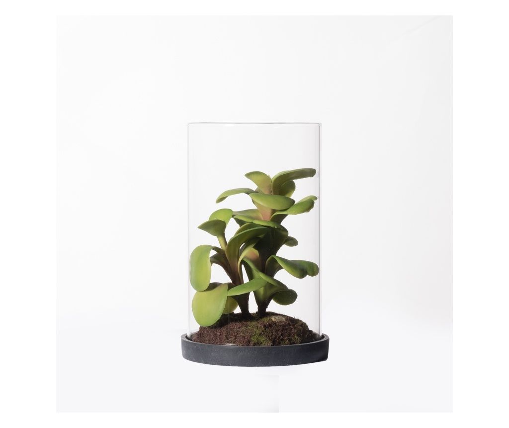 Planta artificiala Cressula Ovata 15.5cm