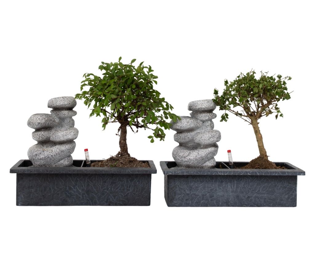 Bonsai vodeno kamenje - 2 kom. - Bonsai - Visina 25-35cm - ⌀29cm