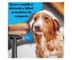 Suflanta Aer, Baterie 2000mAh *4, 6 Accesorii, Portabil, Negru - Experienta Definitiva in Curatenie cu Tehnologie Avansata thumbnail 4