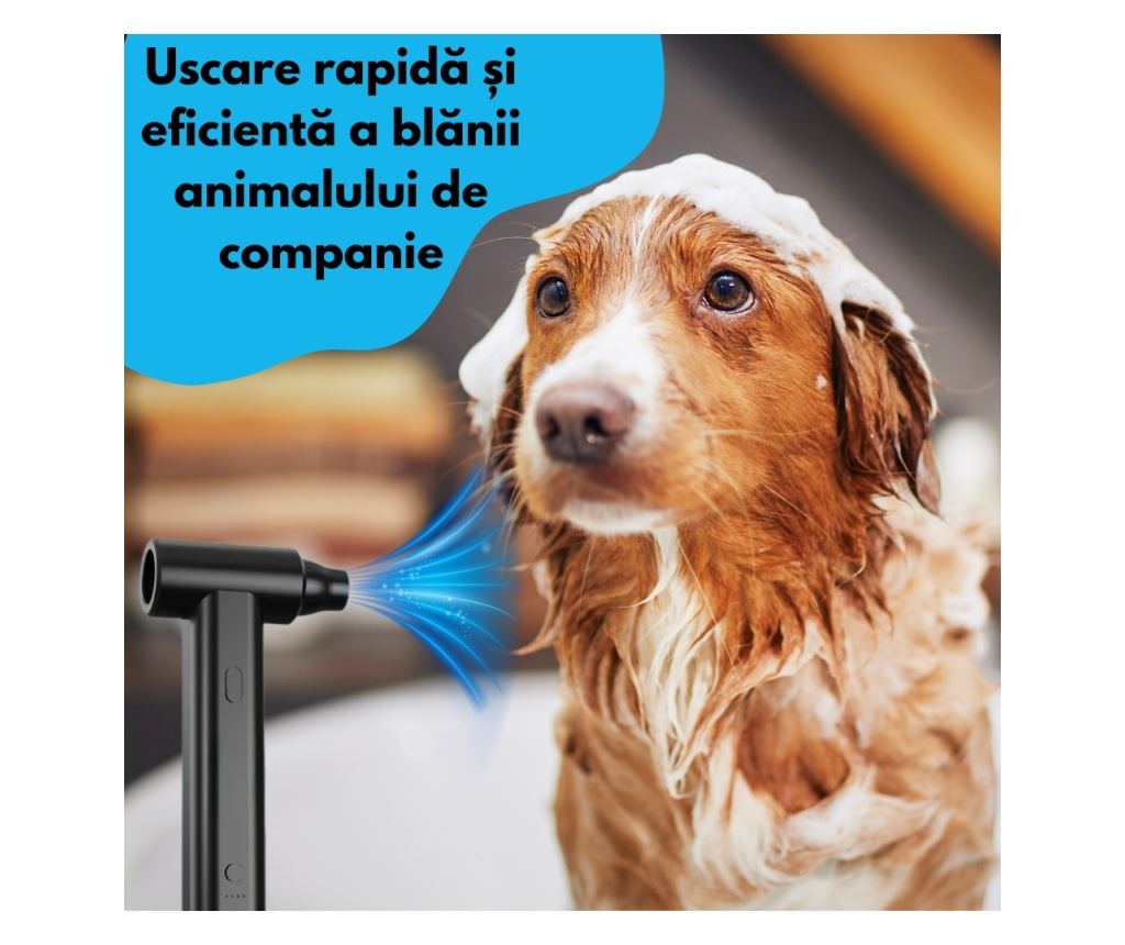 Suflanta Aer, Baterie 2000mAh *4, 6 Accesorii, Portabil, Negru - Experienta Definitiva in Curatenie cu Tehnologie Avansata - 4