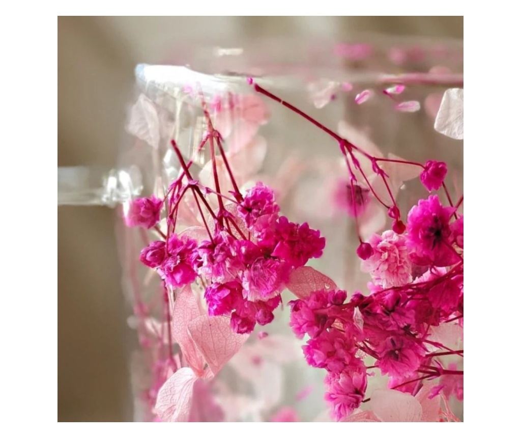 Vrček s posušenimi rožnatimi cvetovi gipsofile, dvojne stene, borosilikatno steklo, 300 ml, SZK149 - 2